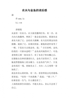 农夫与金鱼的读后感（农夫与金鱼的故事文字）