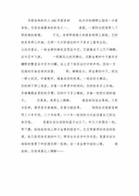 窦桂梅银杏树读后感（银杏树读后感300字）