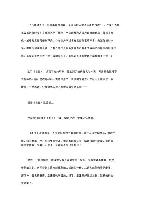 老王的读后感300（老王的读后感600字）