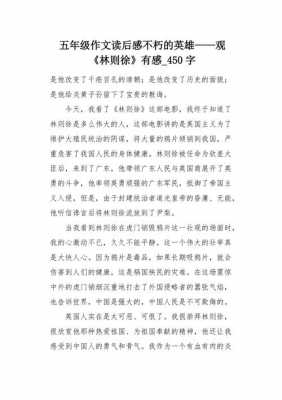 林则徐读后感400字（林则徐读后感500字）