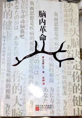 脑内革命读后感（脑内革命pdf）