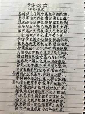 《楚辞远游》读后感（楚辞远游全文朗诵）