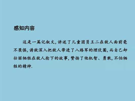 《王二小》读后感（王二小读后感300字）