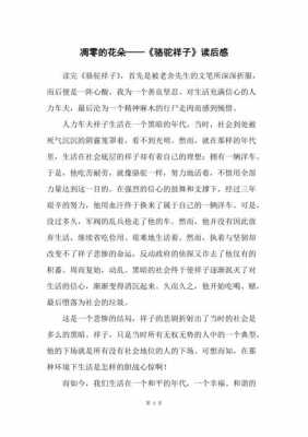 凋零的美丽读后感（凋零的美丽作文1000字）