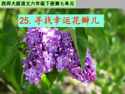 寻找幸运草读后感（寻找幸运花瓣读后感50字）