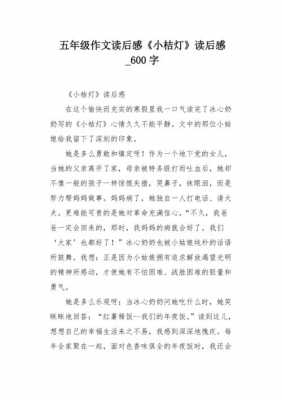 小桔灯读后感10（小桔灯读后感100字冰心）