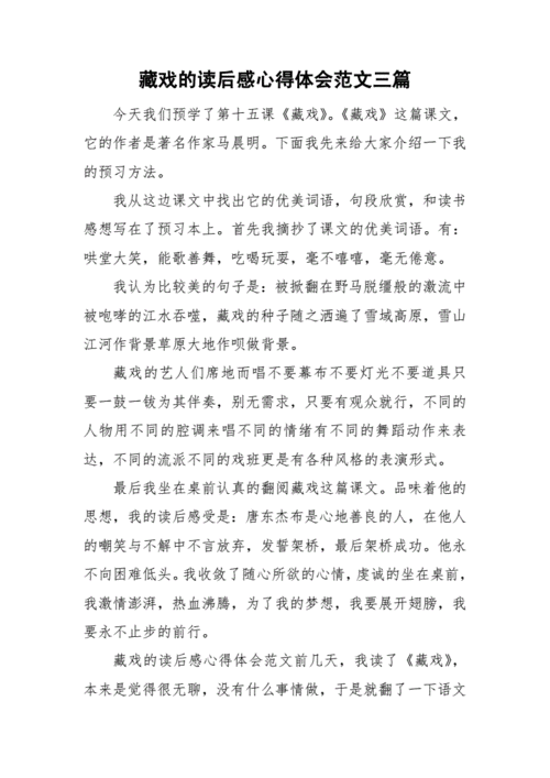 藏戏读后感阅读答案（藏戏读后感30字左右）