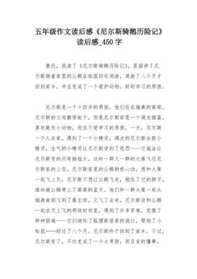 尼尔斯的鹅读后感（尼尔斯与鹅的历险记读后感）