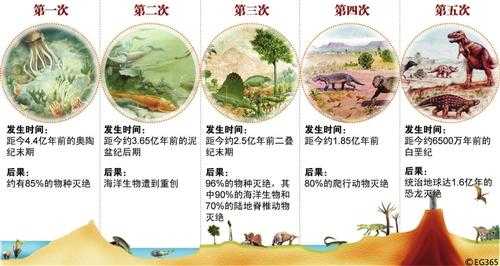 生物大灭绝读后感（生物大灭绝启示）