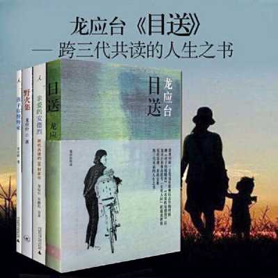 龙应台文集读后感（龙应台作品推荐）