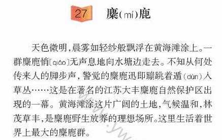 麋鹿课文读后感（麋鹿这篇课文告诉我们什么）