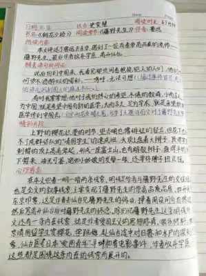 鲁迅传读后感700字（鲁迅传读后感800字）