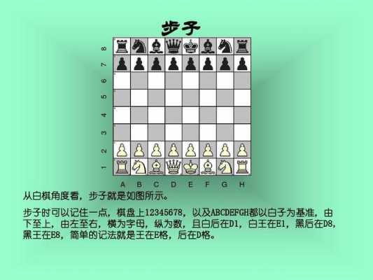 国际象棋入门读后感（国际象棋入门读后感100字）