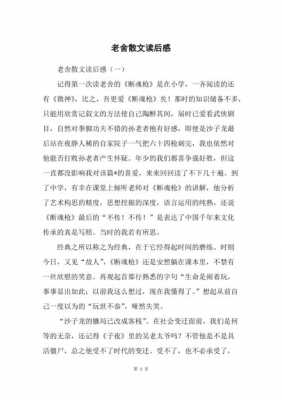 《老舍》读后感作文（老舍读后感500字）