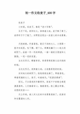 麦收读后感作文（收麦的感受）