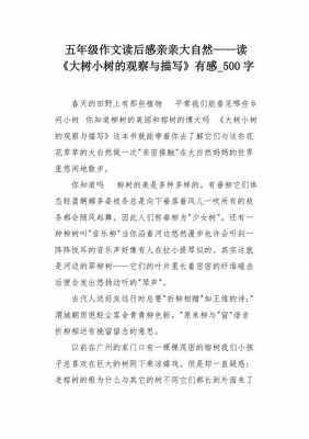 受伤的小树读后感（受伤的小树短文主要写了什么内容）