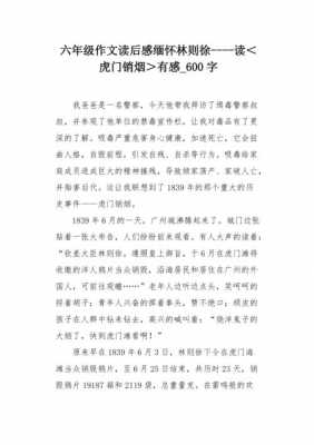 林则徐销烟的读后感（林则徐销烟的故事50字）