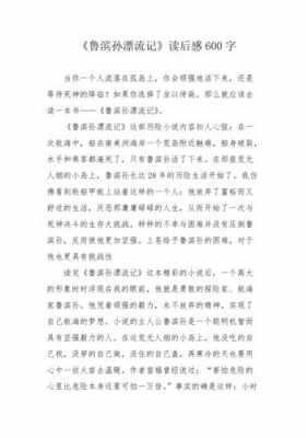 鲁兵孙漂流记书读后感（鲁兵逊漂流记的读后感500字）