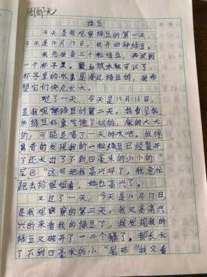 细心去观察读后感（关于细心观察的作文300字）