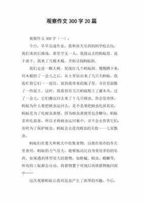 细心去观察读后感（关于细心观察的作文300字）