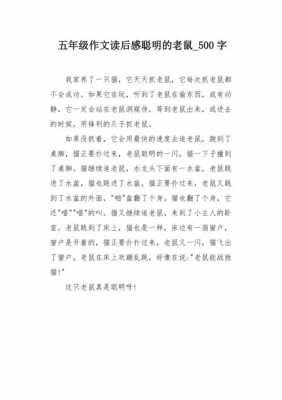 佛塔上的老鼠读后感（佛塔上的老鼠故事启示作文）