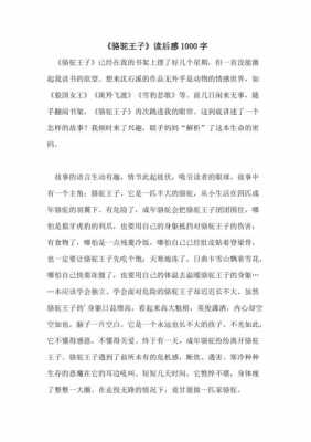 骆驼王子读后感字（骆驼王子读后感20字）