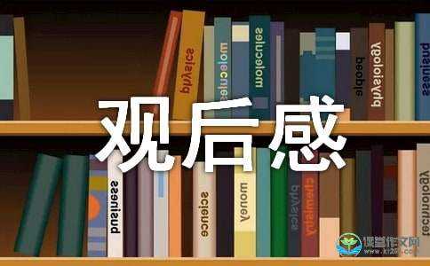 前任攻心记读后感（前任攻略观后感）