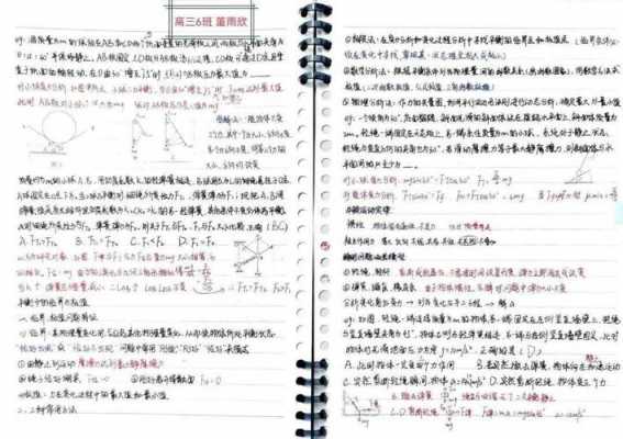 华人如何学数学读后感（华人数学第一人）