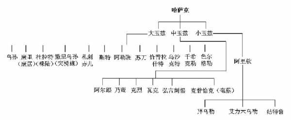 转场的哈萨克读后感（转场的哈萨克阅读理解答案）