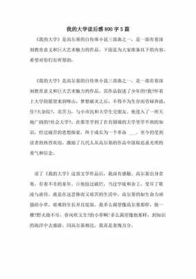 《我的大学》的读后感（我的大学读后感800字）