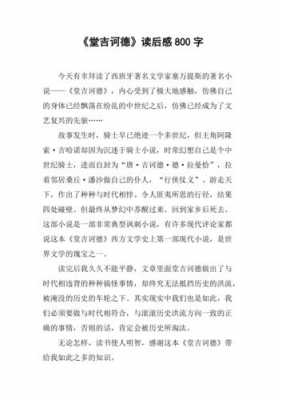 堂吉诃德读后感高中700（堂吉诃德读后感高中800字）