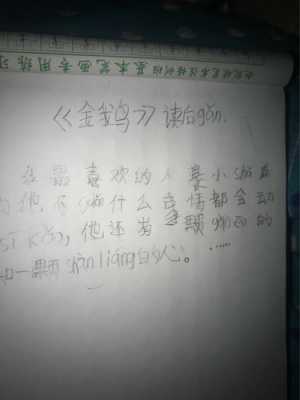 金鹅读后感20字（金鹅读后感20字左右）