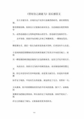 管自己就能飞读后感（管好自己就能飞读后感作文800字）