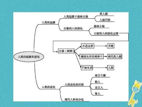 大陆怎样起源读后感（大陆起源的思维导图）