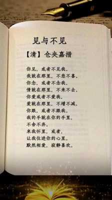 见与不见的读后感（见与不见的读后感300字）