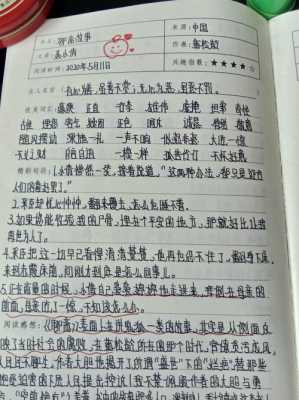 疯狂小学读后感100字（疯狂学校阅读笔记）