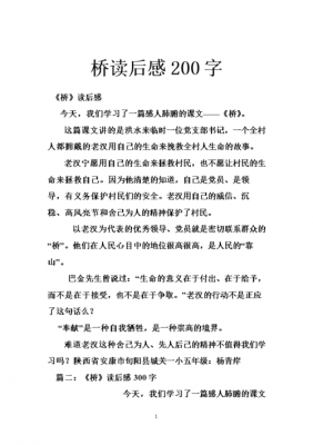 桥的读后感100个字（桥的读后感简短）