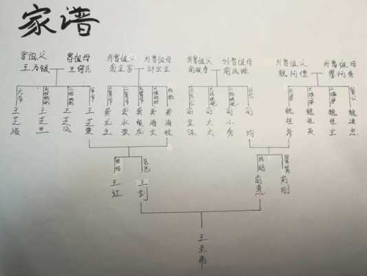 生存家族读后感100字（生存家族告诉我们什么道理）