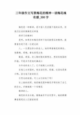 林清玄梅花读后感100（梅花读后感作文）