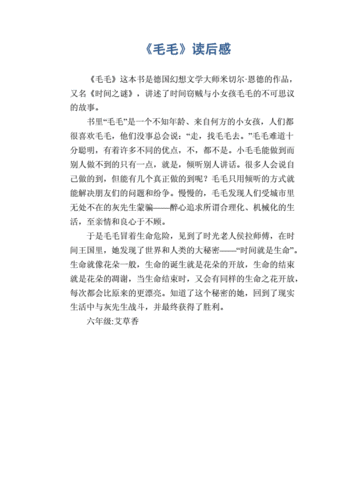 《毛毛》读后感800字（毛毛读后感800字左右）