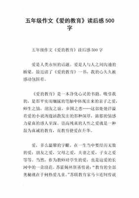 十六课桥读后感作文（课文桥读后感500字左右）