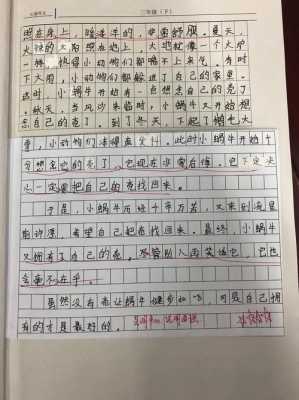 蜗牛的翅膀读后感250（蜗牛有翅膀作文三百字）