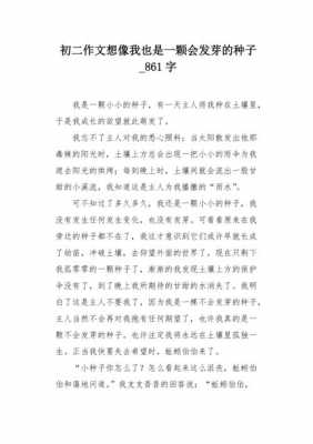 关于我会填坑读后感的信息