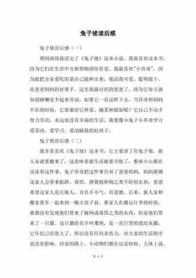 兔子坡读后感小乔奇（兔子坡小乔奇的歌读后感50字）