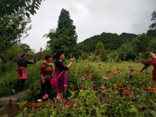 青木入侵读后感（青木川读后感）