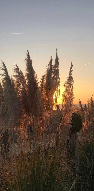 忧郁的微风读后感（忧郁的风景）