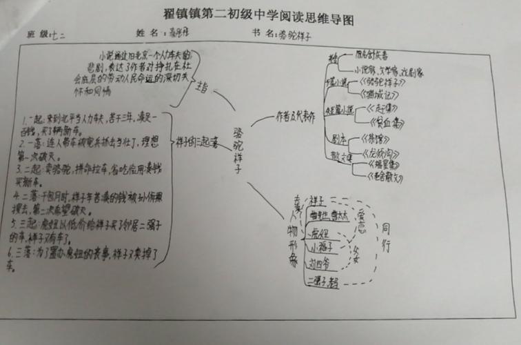 文章脉络分析读后感（文章脉络是什么）