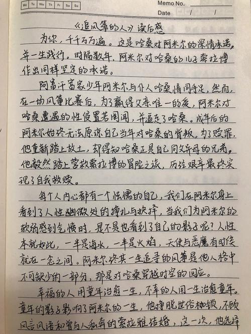 追风的人读后感（追风的人读后感600字）