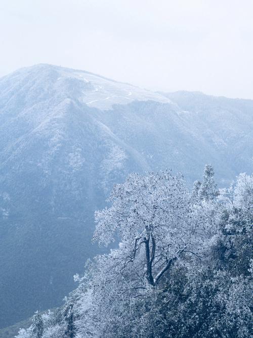 雪中六盘读后感（雪中六盘感悟）