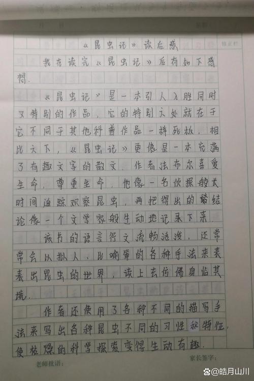 明天诗歌读后感作文（明天读后感600字作文）